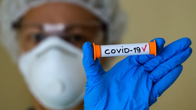 A look at the Wuhan laboratory at the center of China's coronavirus controversy