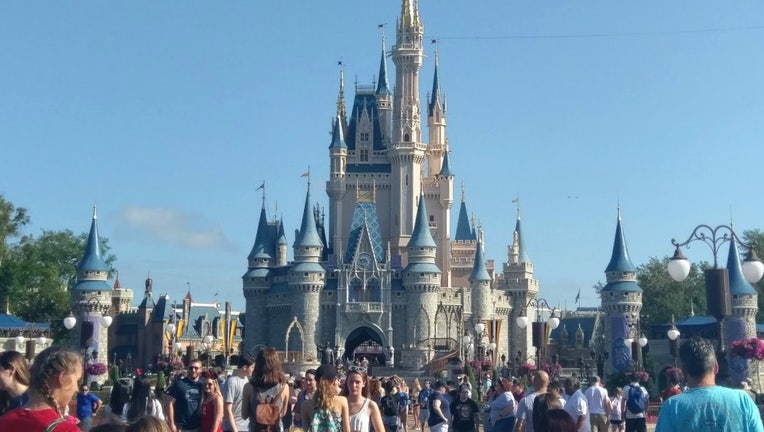 wtvt disney magic kingdom cinderella castle 2