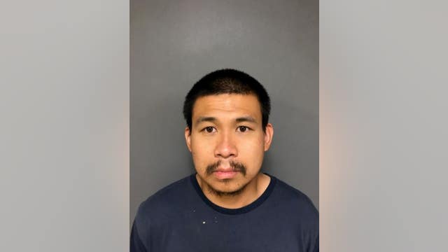 Man arrested after crashing stolen plane through fence, police say