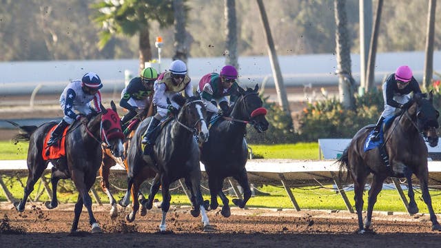 Horse fatally injured while winning race at Los Alamitos