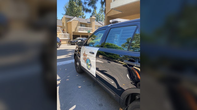 Man believed to be armed with hammer killed by Sheriff's deputies