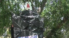 Dozens demonstrate for removal of Father Serra statues