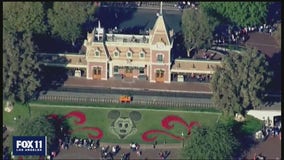 Some think it's too soon for Disneyland to reopen due to COVID-19 concerns