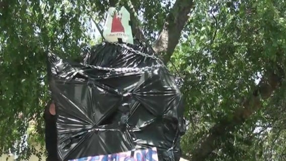 Dozens demonstrate for removal of Father Serra statues