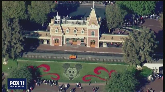 Some think it's too soon for Disneyland to reopen due to COVID-19 concerns