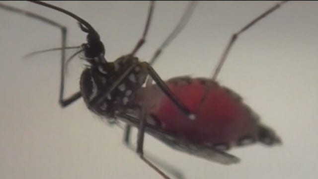 Orange County officials warn of rising mosquito count