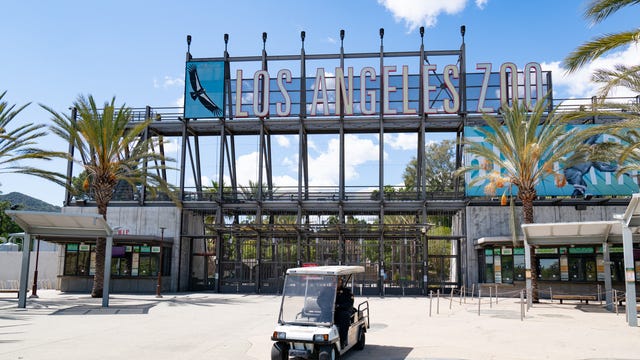 Los Angeles Zoo to remain closed as county allows businesses to reopen