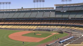 Dodgers begin summer camp workouts