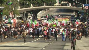 Protests continue despite heat wave and surge in COVID-19 infections