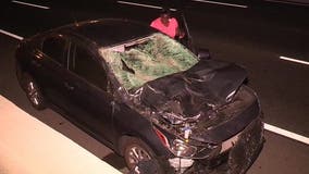 5 burros killed, motorist hurt after herd of donkeys wander onto 215 Freeway causing series of crashes