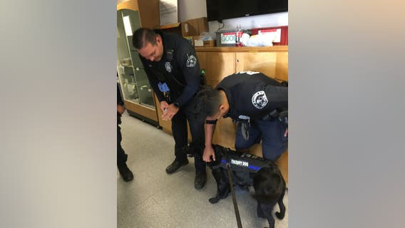 Therapy dogs visit LAPD officers