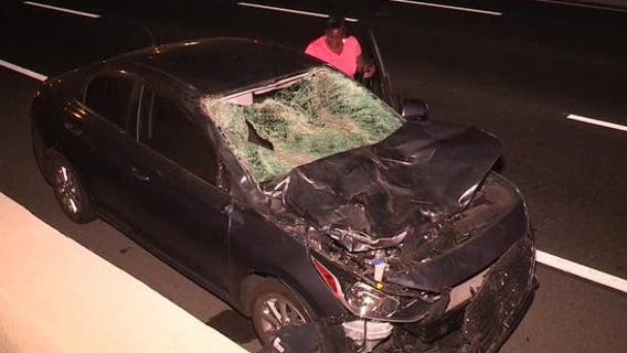 5 burros killed, motorist hurt after herd of donkeys wander onto 215 Freeway causing series of crashes