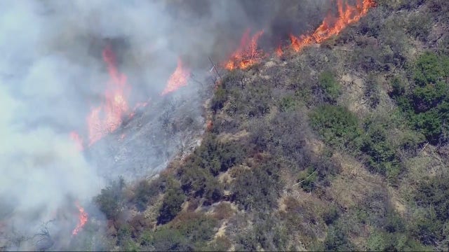 Brush fire in Hollywood Hills now contained