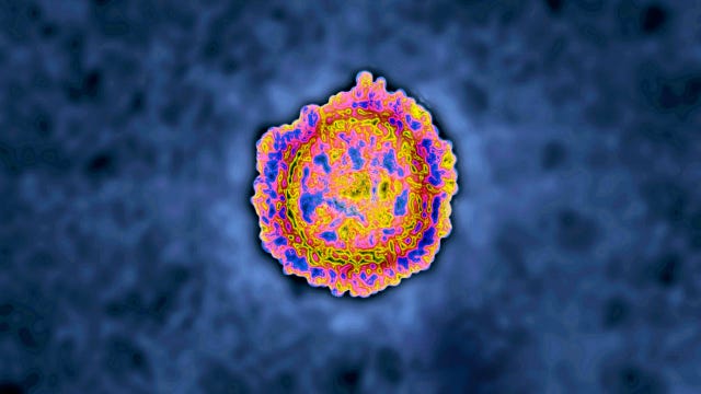 Humans are mutating COVID-19 virus, but it is fighting back, scientists say