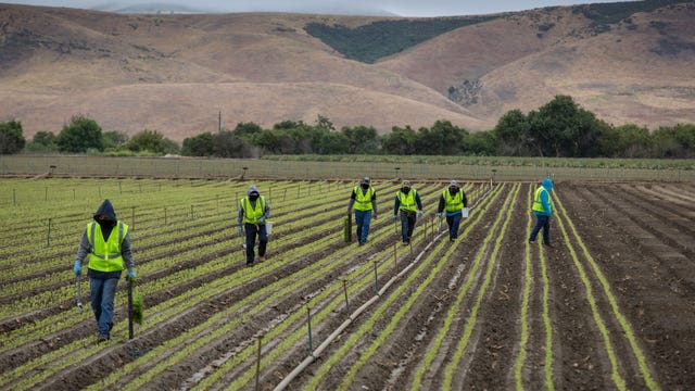 Newsom: CA must protect essential workers, coronavirus disproportionately affects Latino community