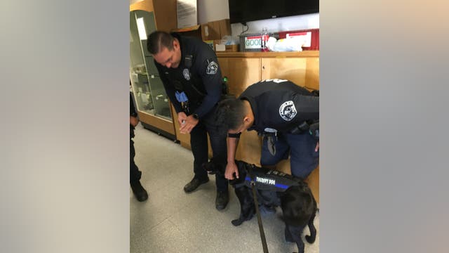 Therapy dogs visit LAPD officers