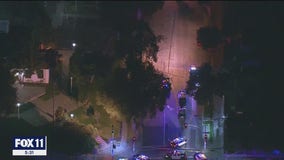 Pasadena police shoot man during traffic stop, uses pepper spray against crowd after incident