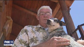 Dog lost during Apple Fire reunites with his owner