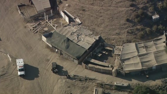 Thousands of roosters found at alleged cockfighting operation