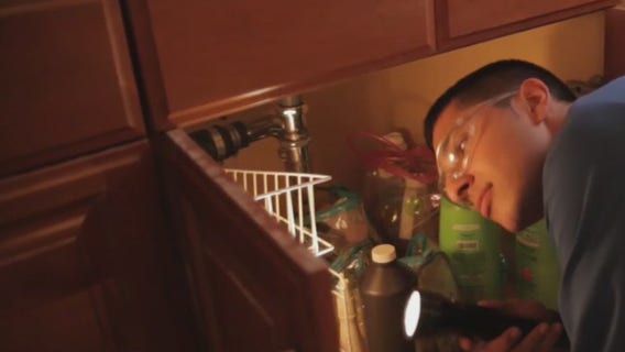 FOX 11 Job Finder: Opportunities in food industry, pest control, luxury spa chain