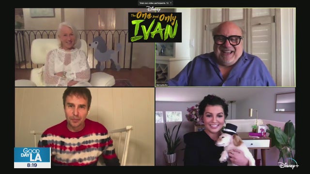 Keep cool inside and stream The One and Only Ivan on Disney+