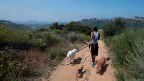Santa Monica mountain trails closed through Labor Day weekend after hiker dies