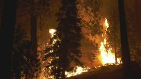 Forecasters: Fire risk high on Friday due to winds, low humidity