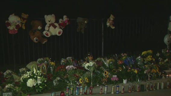 Brothers killed in Westlake Village crash; co-founder of prominent burn center arrested