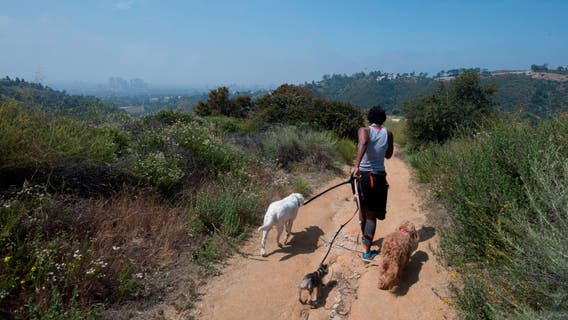 Santa Monica mountain trails closed through Labor Day weekend after hiker dies