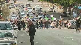 Thousands turn out in downtown LA urging Trump to accept defeat