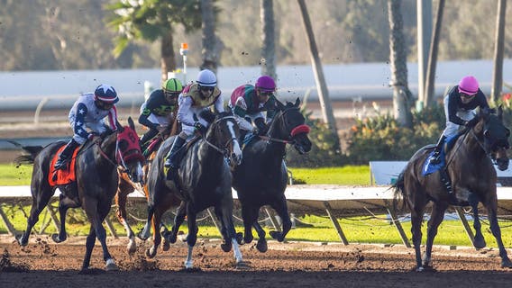 3-year-old filly dies from racing injury at Los Alamitos