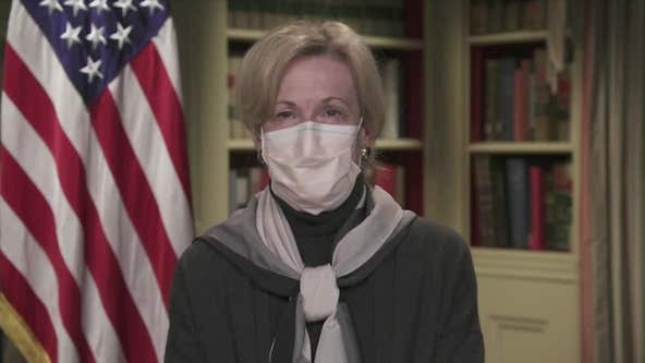 Dr. Deborah Birx: “I haven’t had that opportunity” to speak with Biden transition team