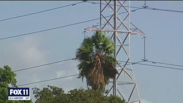 Power outages across the Southland due to strong winds has cut electricity to hundreds of customers