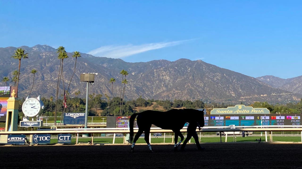Horse dead, jockey injured at Santa Anita Park crash