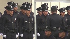 LAPD adding investigative, uniformed staff to combat increased crime