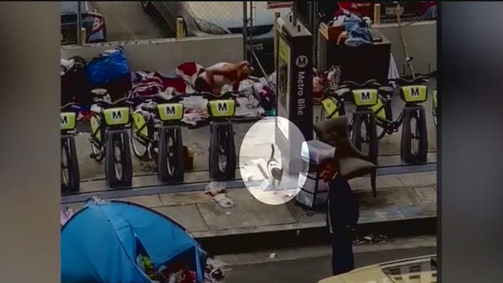 Concerns of animal abuse grow after video shows dog getting caught in middle of fight between homeless couple