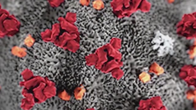 High LA coronavirus deaths, more contagious variant hit California