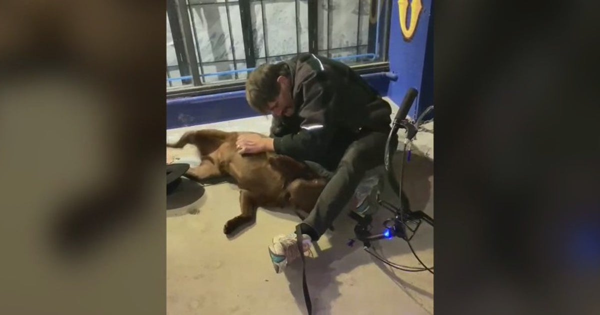 Homeless man reunited with allegedly stolen service dog | FOX 11 Los ...