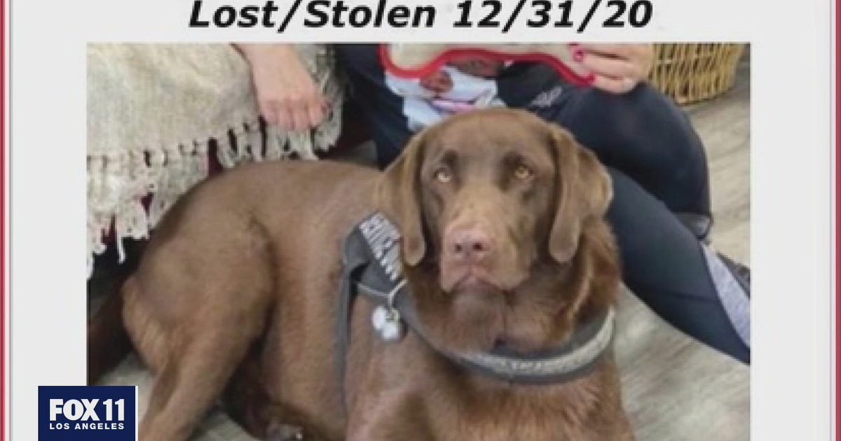 Homeless man accuses woman of stealing his dog in Sherman Oaks, lawsuit ...