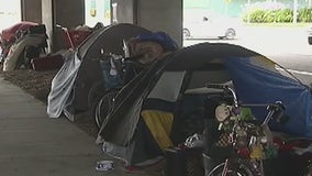 Two LA City Council members motion to replace encampment cleanups