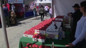 Garden Grove Strawberry Festival postponed again, now set for 2022