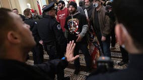 BLM protesters from 2020 demonstrations react to difference in policing at deadly US Capitol raid