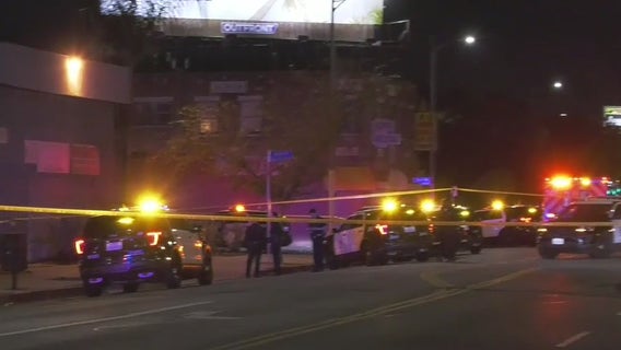 Man armed with a knife fatally shot by police in South LA