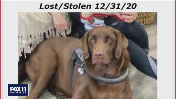 Homeless man accuses woman of stealing his dog in Sherman Oaks, lawsuit says