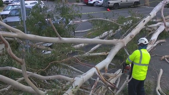 Thousands still without power after strong winds sweep through SoCal, cleanup underway