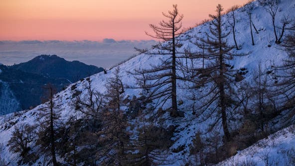 Campgrounds to remain closed in 12 forests in California amid COVID-19 surge