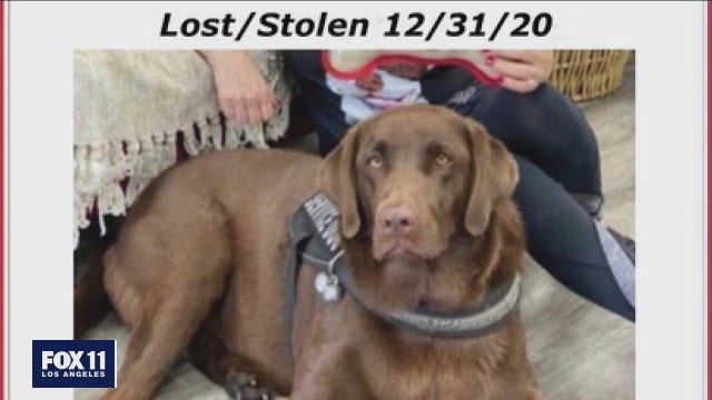 Homeless man accuses woman of stealing his dog in Sherman Oaks, lawsuit says