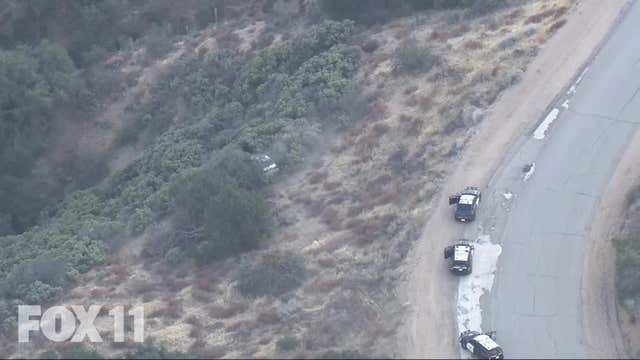 Driver suspected of stealing car crashes into bushes after leading CHP on chase from 5 Freeway