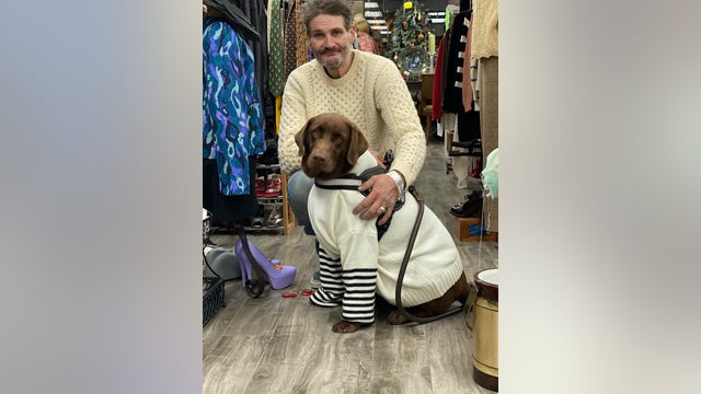 'I am at a loss for words': Homeless man heartbroken over stolen service dog, $10,000 reward offered