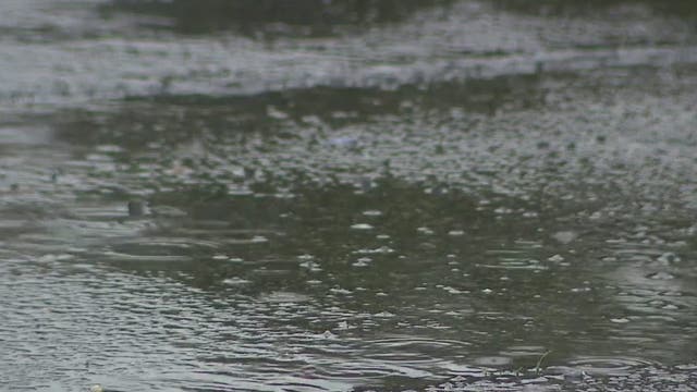 Evacuation order issued for parts of San Bernardino County due to potential flooding